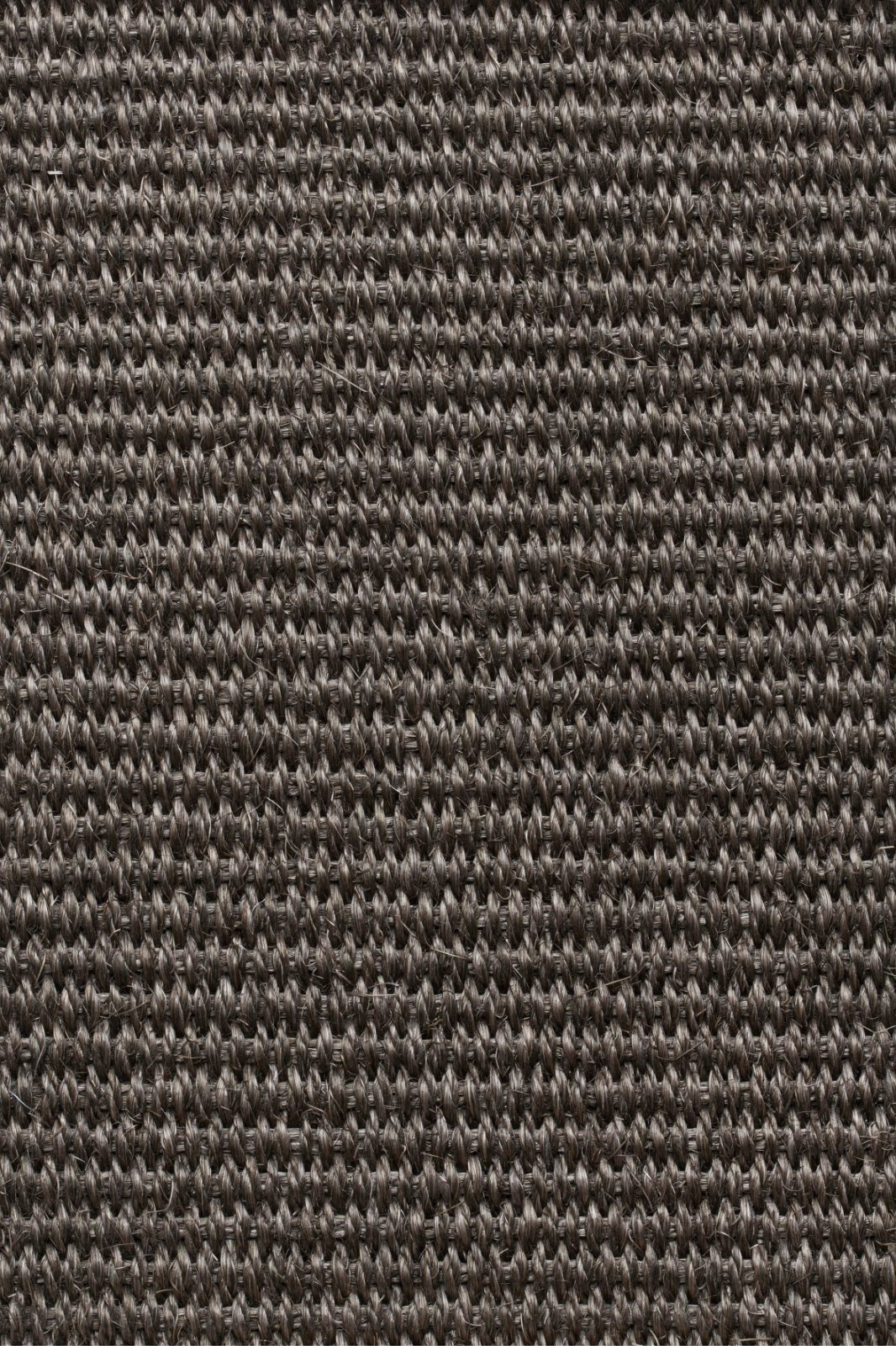 Sisal Carpet Tasibel Urban Plus 2215/21
