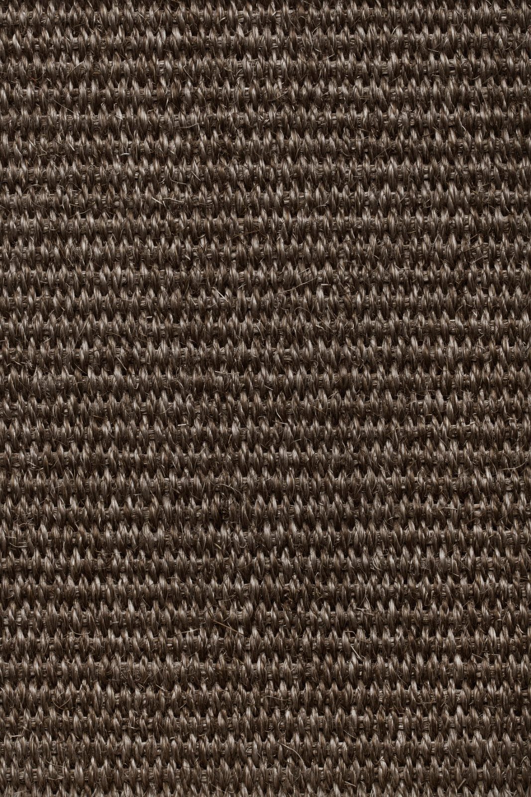 Sisal Carpet Tasibel Urban Plus 2216/21