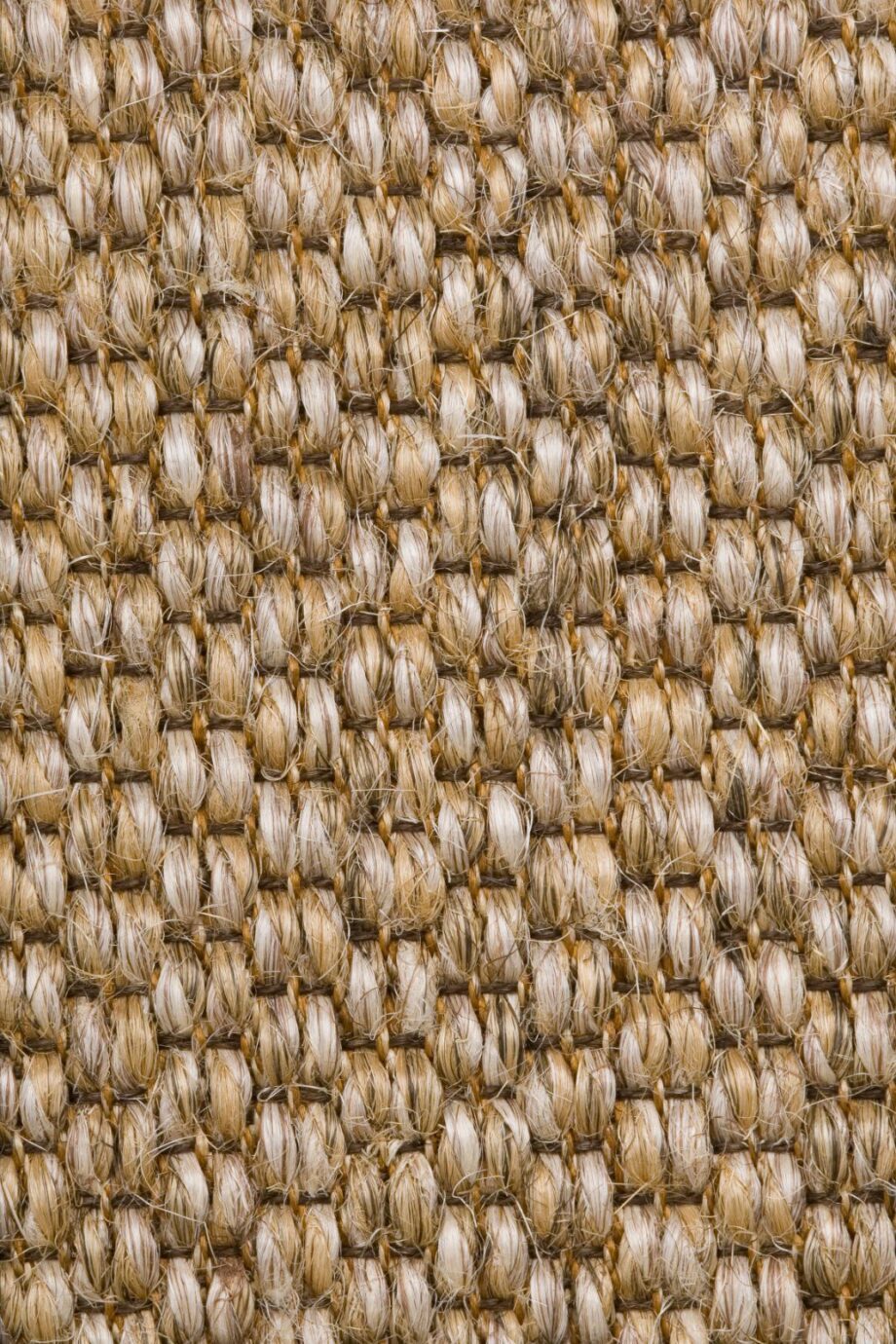 Sisal Carpet Tasibel Zambesi 2060/19/20 Sisal Carpet Tasibel Zambesi 2060/19/20
