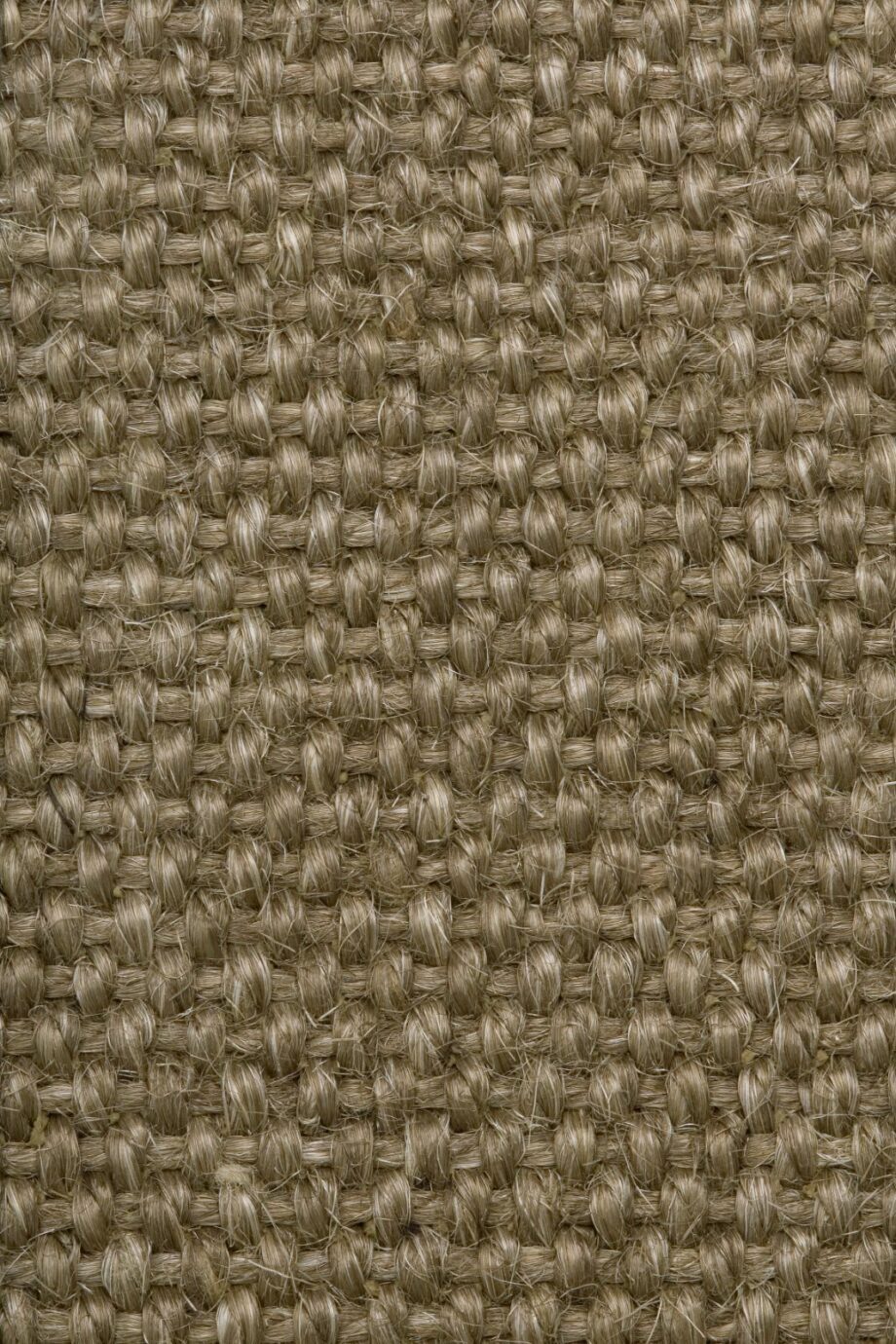 Sisal Carpet Tasibel Allegro 2804/20 Sisal Carpet Tasibel Allegro 2804/20