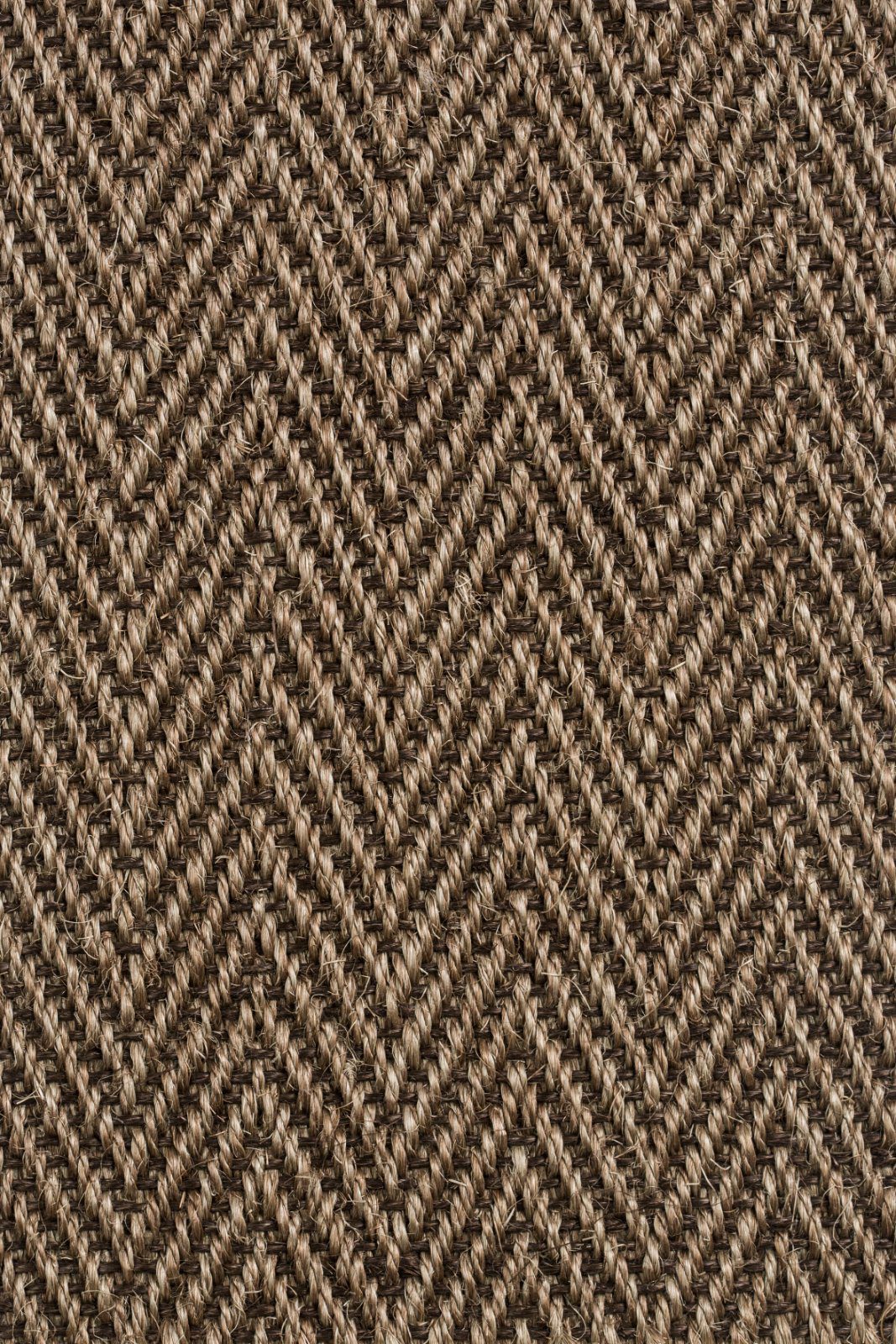Sisal Carpet Tasibel Bellevue 1412/21