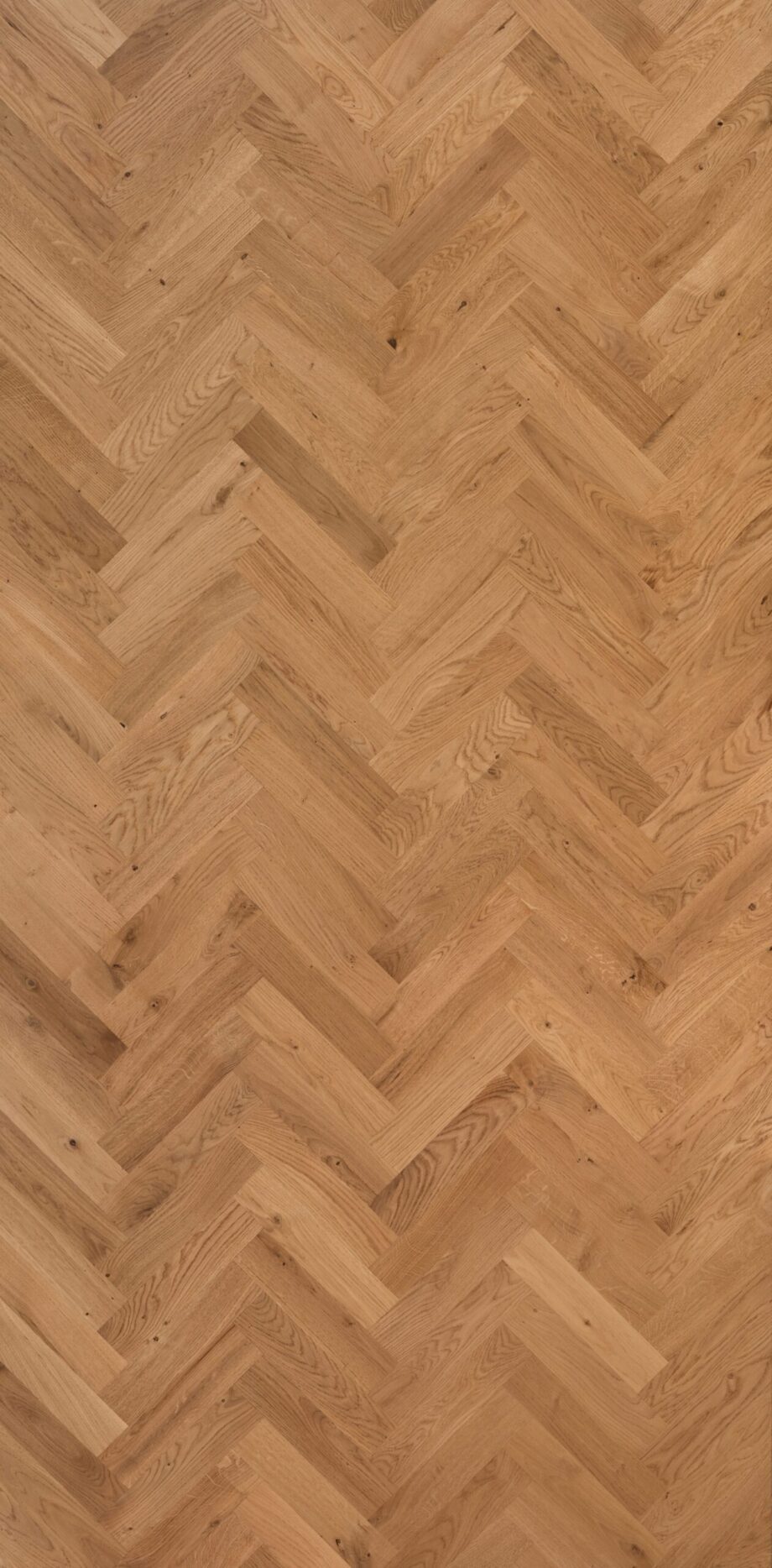 Strip parquet floor oak rustic unfinished 16x70x450mm Strip parquet floor oak rustic unfinished 16x70x450mm