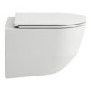Toilet wall-mounted Laufen PRO with soft-close seat Toilet wall-mounted Laufen PRO with soft-close seat