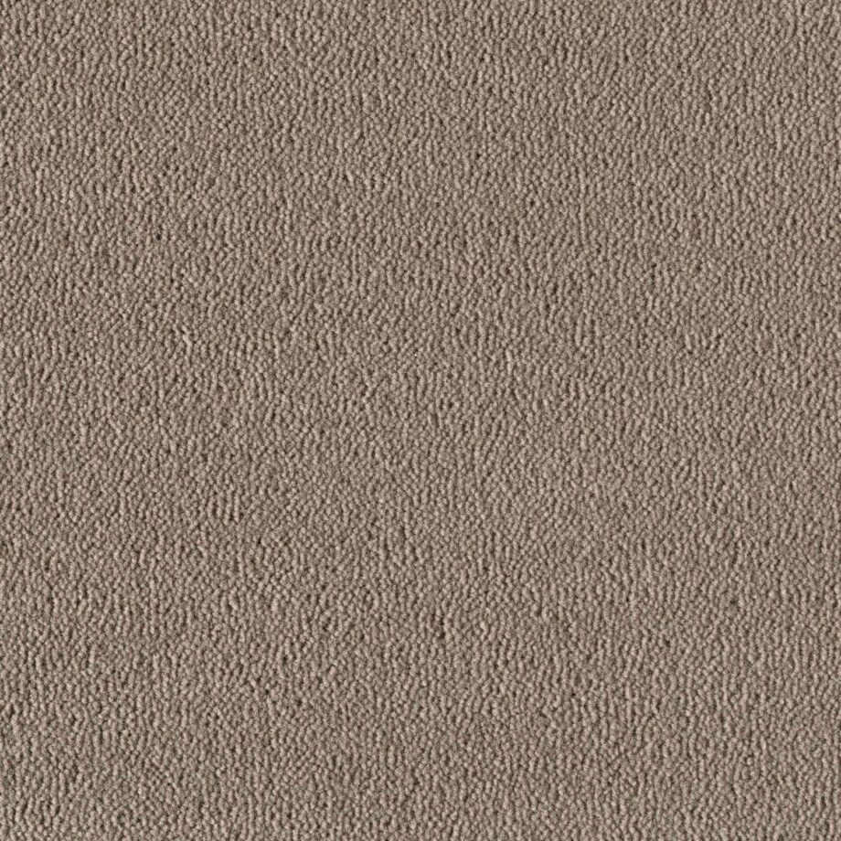 Wool Carpet Creatuft Sheba 1030 Greige Wool Carpet Creatuft Sheba 1030 Greige