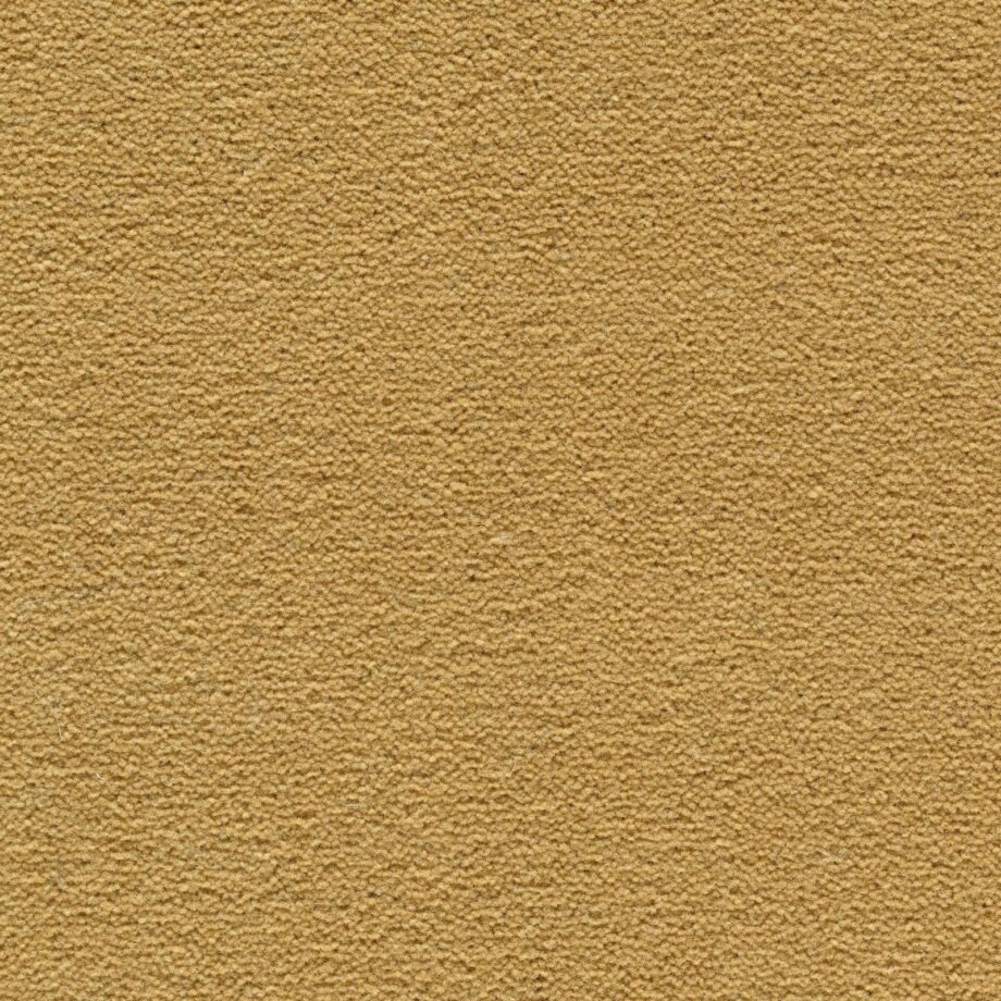 Wool Carpet Creatuft Sheba 1090 Gold Wool Carpet Creatuft Sheba 1090 Gold