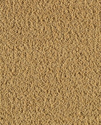 Wool Carpet Creatuft Ceres 3090 Gold
