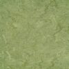 1708_2090_121-100_Frog_Green