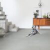 4410_8746_LVT-vinuulparkett-QUICK-STEP-minimal-hele-hall-AMCL40139-9-plus