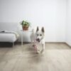 4440_8869_LVT-Vinuulparkett-QUICKSTEP-Click-hall-tamm-faasitud-_PUCL40105-3