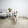 LVT Vinyl QUICK STEP, Pulse Click Plus, Cotton oak warm grey, beveled – 7