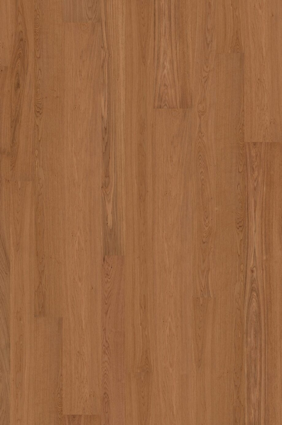 Parquet Oak Gol 4 sides beveled, brushed, matt lacquered