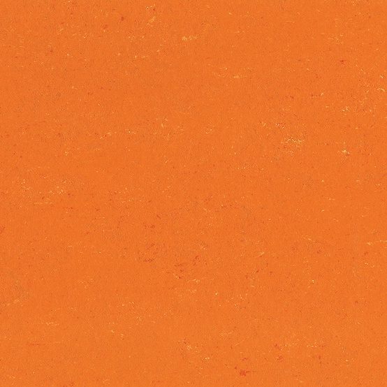Linoleum floor Gerflor Colorette 0170 Kumquat Orange – 2