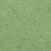 Linoleum floor Gerflor Marmorette 0100 Frog Green – 2