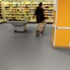 Linoleum floor Gerflor Uni Walton 0081 Nickel Grey – view 4 Linoleum floor Gerflor Uni Walton 0081 Nickel Grey – 4