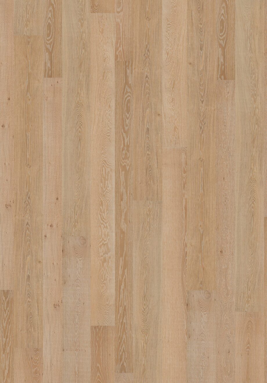 Parquet Oak Aral Vulcano Ge 4 sides beveled, brushed, matt lacquered – 2