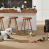 Parquet Meister Lindura Natural Champagne Oak brushed 1-strip matt lacquered 8922 – 5