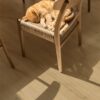 LVT flooring rigid Quick-Step Bloom Brushed Oak Beige – 5