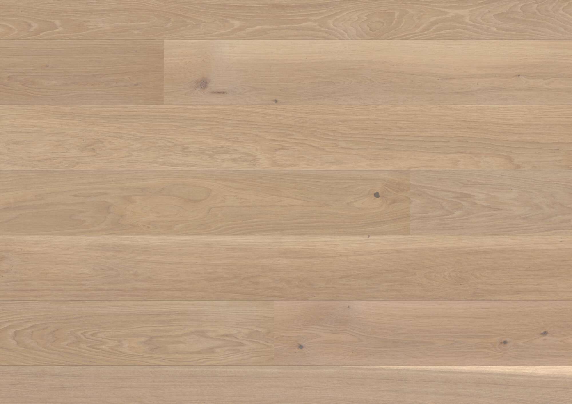 Engineered wood flooring Bauwerk Casapark Oak 24 Farina brushed oil waxed 181mm
