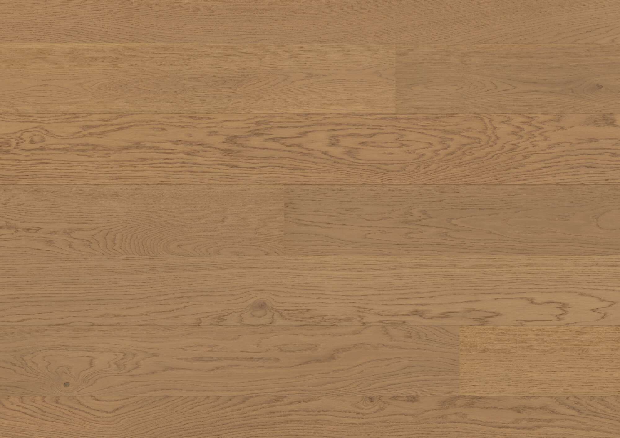 Engineered wood flooring Bauwerk Casapark Oak 24 Mandorla B-Protect® ultra matt lacquered 181mm
