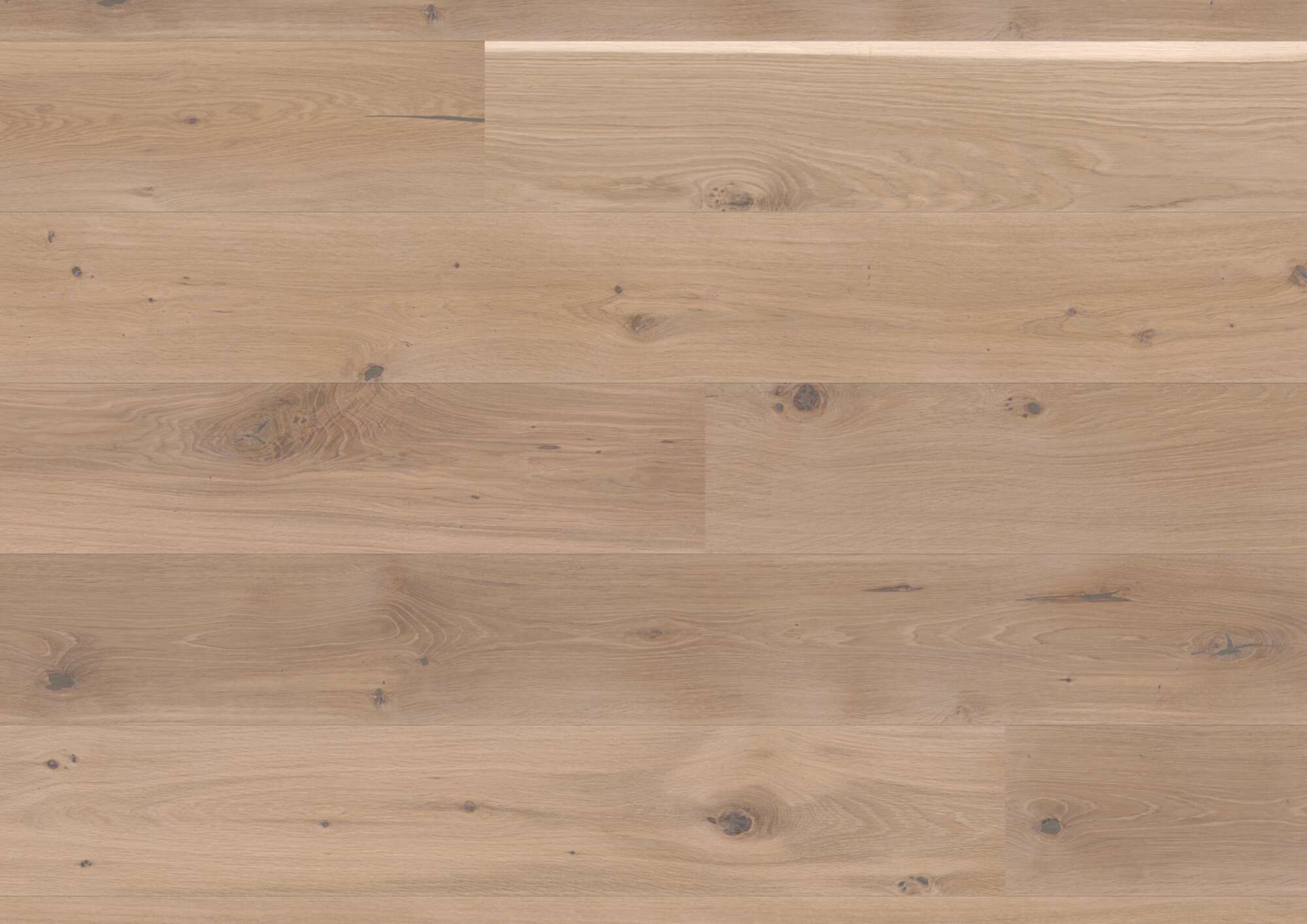 Engineered wood flooring Bauwerk Casapark Oak 46 Farina brushed oil waxed 209mm
