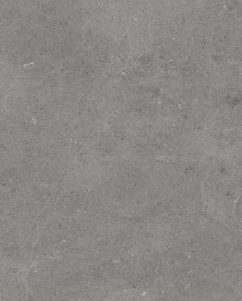 Floor tiles Tau Serenastone Gray mat rec