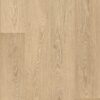 Glue-down Vinyl Flooring Floorify Gluedown Long Plank Blush FG006