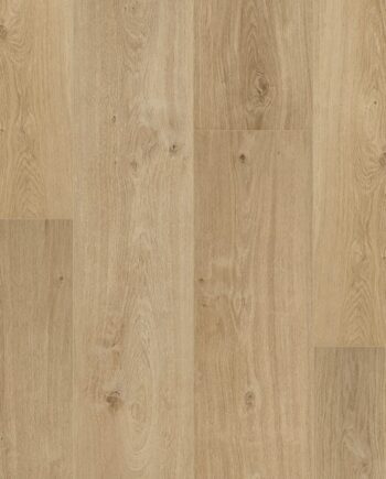 Glue-down Vinyl Flooring Floorify Gluedown Long Plank Cider FG018