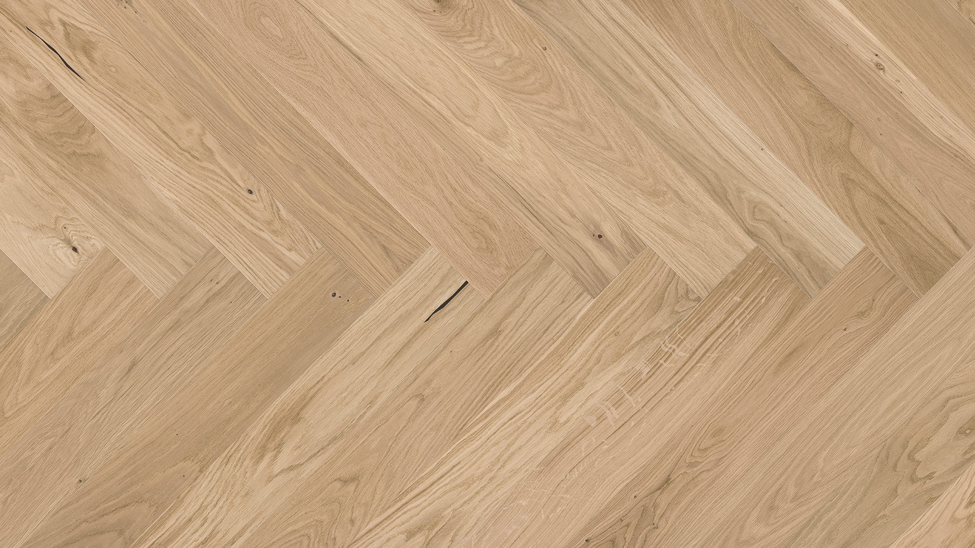 Herringbone floor Oak Crema beveled brushed matt lacquered