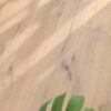 Parquet floor Oak Rustical 1-strip beveled brushed white oiled – 4