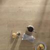 Glue-down Vinyl Flooring Floorify Gluedown Long Plank Champagne FG017 – view 4 Glue-down Vinyl Flooring Floorify Gluedown Long Plank Champagne FG017 – 4