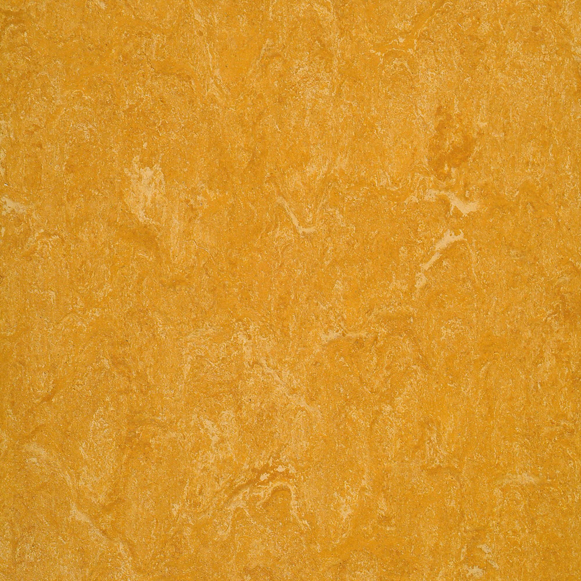 Linoleum Acoustic Plus LPX 2121-073 spicy orange