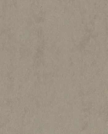 Linoleum floor Gerflor Lino Art Urban 0550 Beton Soft Grey
