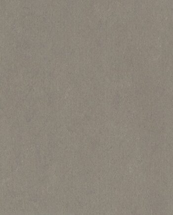 Linoleum floor Gerflor Lino Art Urban 0559 Vintage Grey