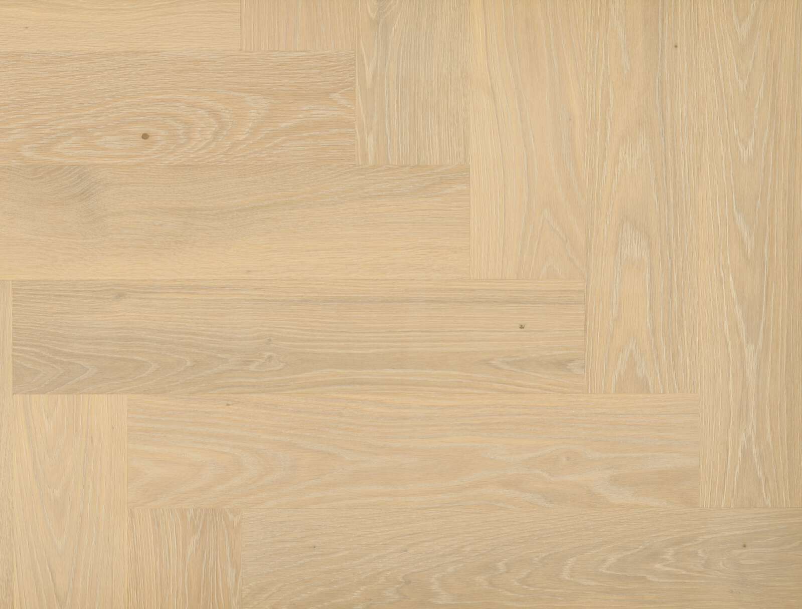 Oak Floorboards Bauwerk Formpark Quadrato Farina 14 oiled sanded