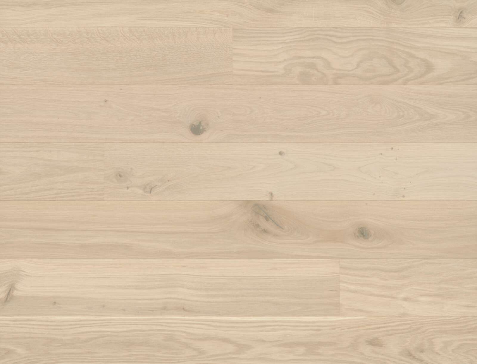 Oak Flooring Bauwerk Studiopark Farina 46 matt lacquered brushed