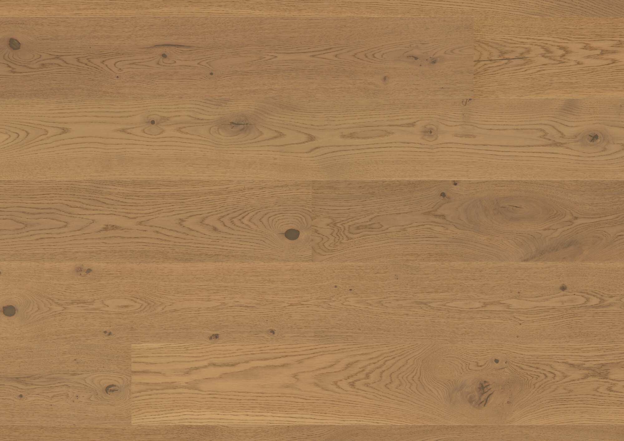 Oak parquet flooring Bauwerk Casapark Oak 46 Mandorla B-Protect® ultra matt lacquered 209mm
