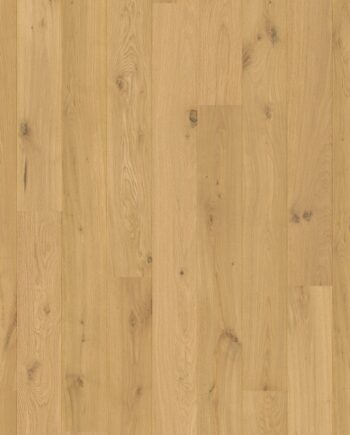 Oak parquet flooring Quick-Step Amato Pure Oak extra matt lacquered, waterproof 145mm