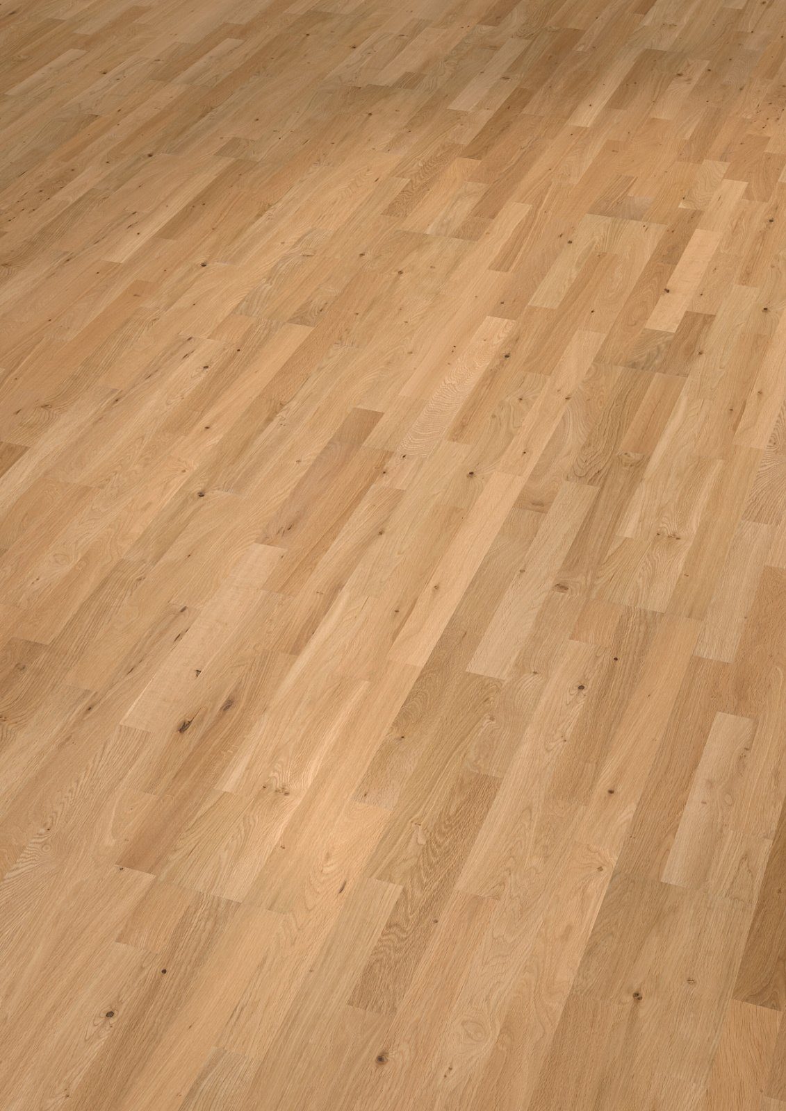Oak parquet Thede & Witte Euro 3-strip, knotty, matt lacquered, 3-strip, 2200 x 204 x 14 mm