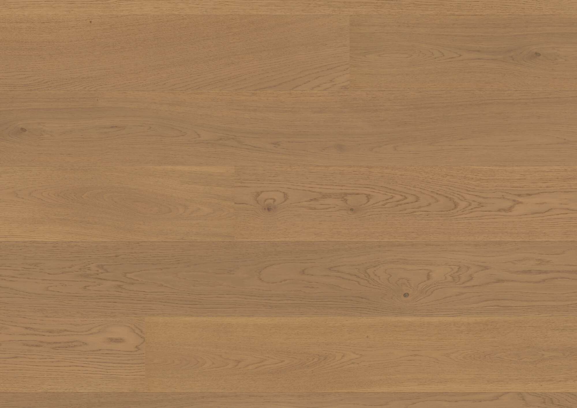 Parkett Bauwerk Casapark tamm 24 Mandorla B-Protect® ultramatt lakk 209mm
