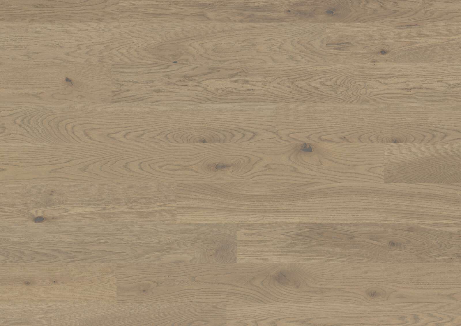 Oak Floorboards Bauwerk Trendpark 1390 Sasso 46 oiled brushed