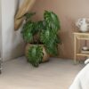 Parquet Tarkett, Grace, Oak White Lace TreS, 3-strip, brushed, Proteco ExtraMatt matt lacquer – view 3 Parquet Tarkett, Grace, Oak White Lace TreS, 3-strip, brushed, Proteco ExtraMatt matt lacquer – 3