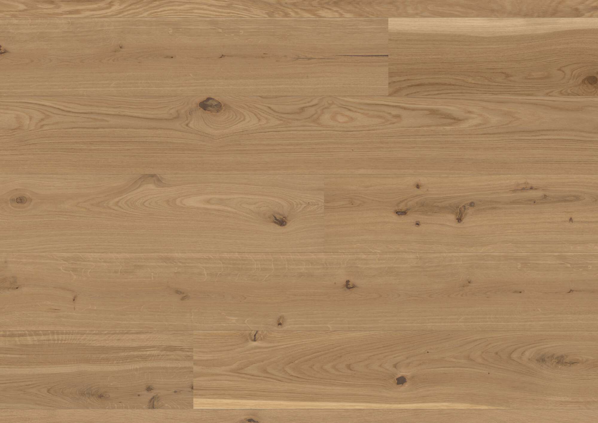 Parquet floor Bauwerk Casapark Oak 46 Avorio brushed oil waxed 209mm