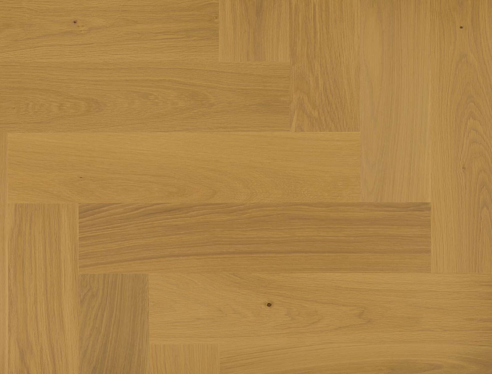 Parquet Flooring Bauwerk Formpark Quadrato Oak Mandorla 14 oiled sanded