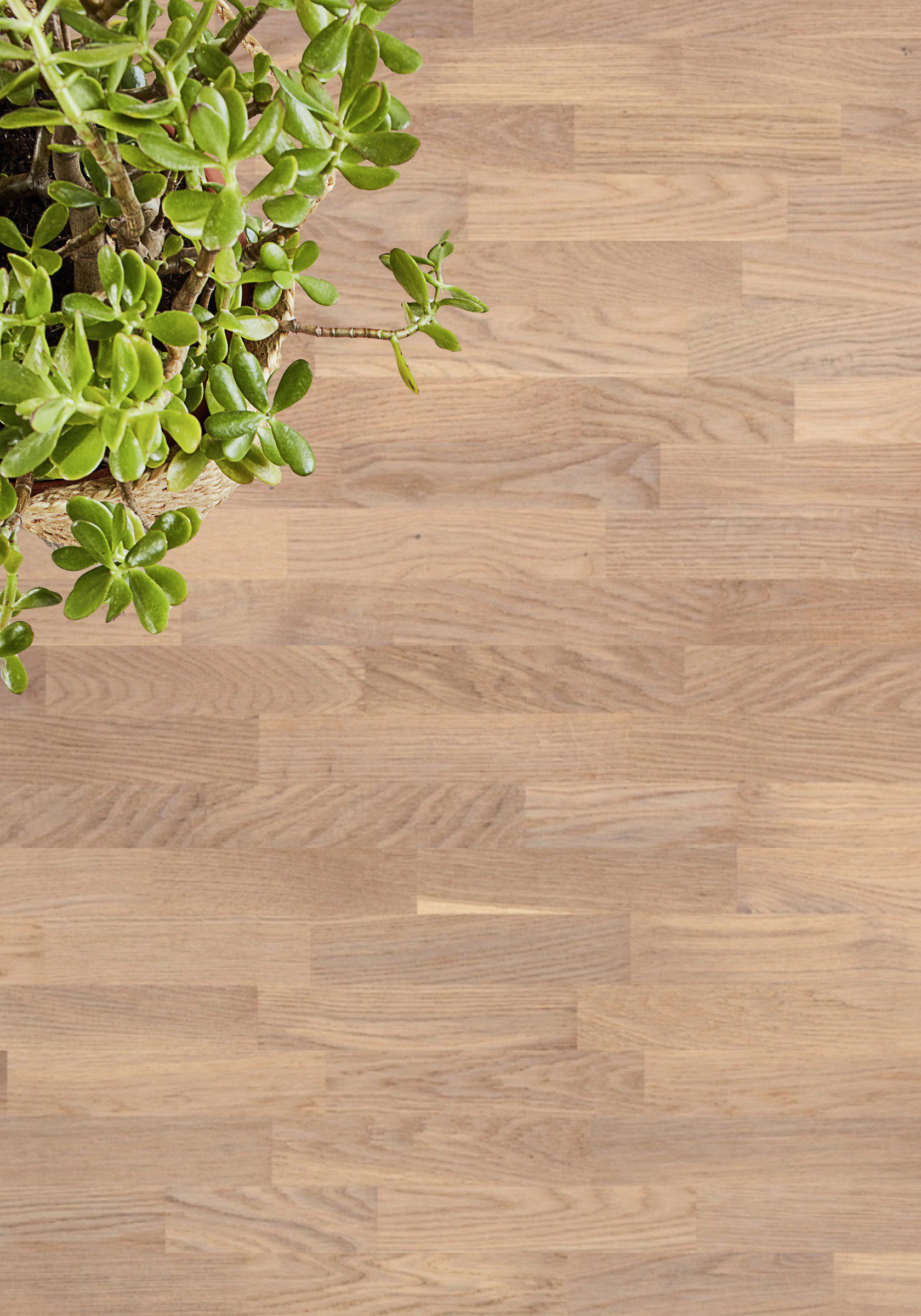 Parquet Tarkett, Grace, Oak Soft Skin TreS, 3-strip, brushed, Proteco ExtraMatt matt lacquer