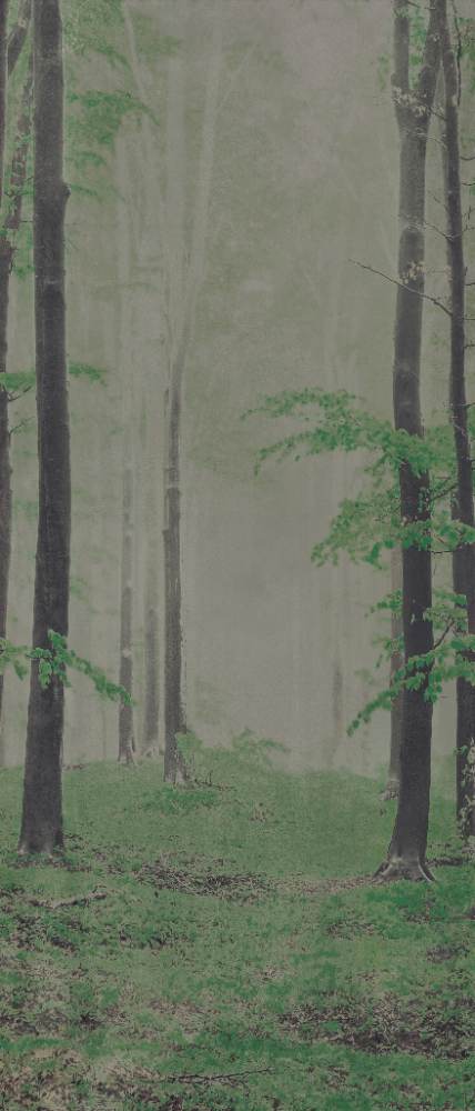 Patterned large porcelain decor slab ABK Wide&Style Woods B, 120x280 cm, 6 mm, matt