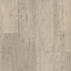 Rigid LVT Vinyl Flooring Floorify Long Plank Goose F036