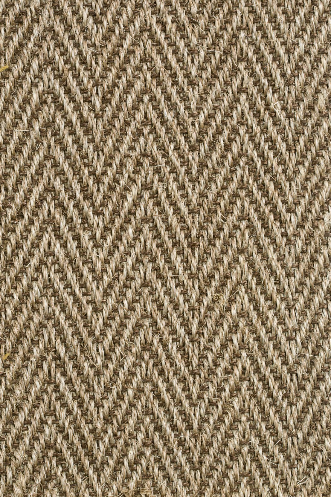 Sisal Carpet Tasibel Bellevue 1414/21