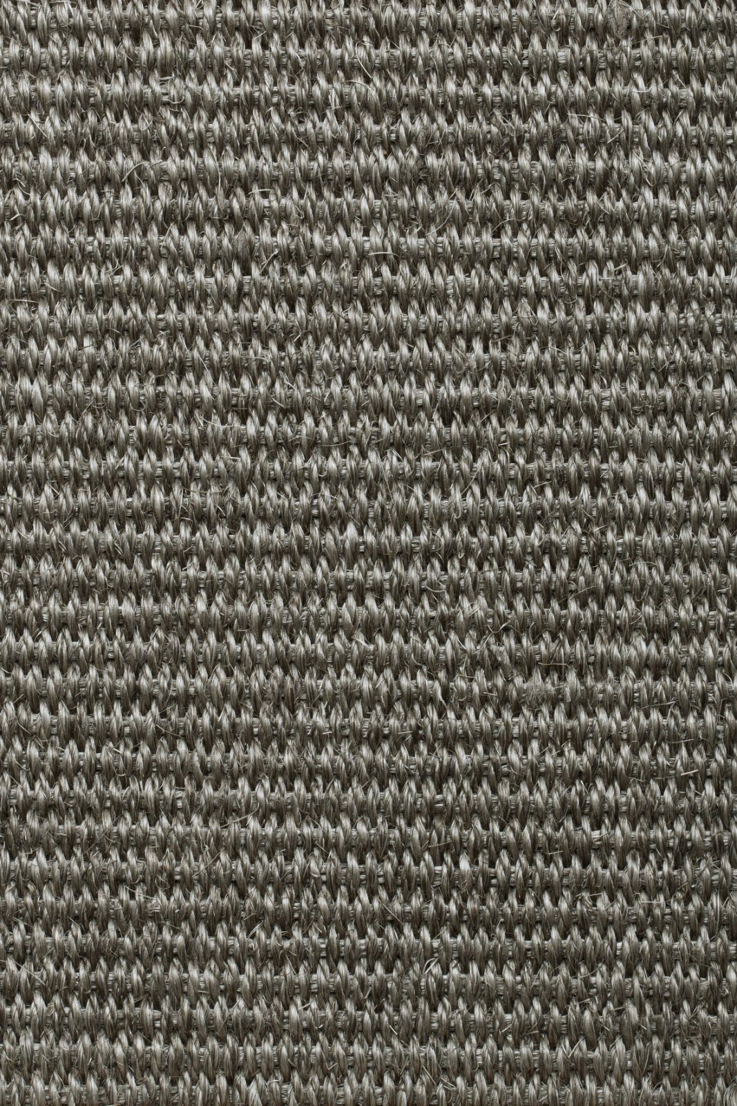 Sisal Carpet Tasibel Urban Plus 2214/21