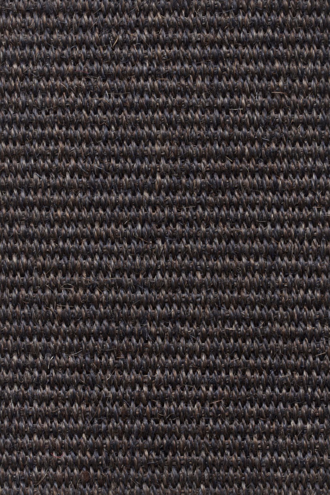 Sisal Carpet Tasibel Urban Plus 2217/21