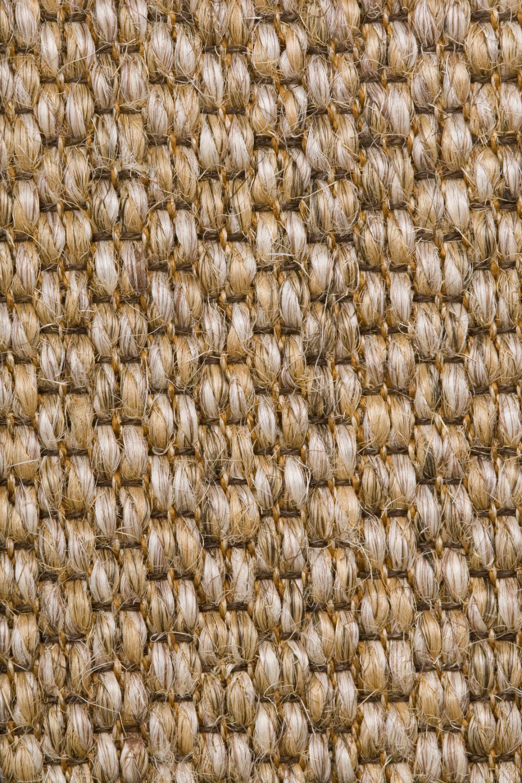 Sisal Carpet Tasibel Zambesi 2060/19/20